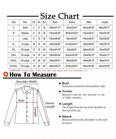 Sweatshirt for Women Trendy Long Sleeve Aesthetic Ombre Color Hoodie Oversized Casual Gentle Outdoor Tops with Pocket A01_lig...