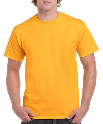 Heavy Cotton T-Shirt, Style G5000, Multipack Gold (2-pack) $16.48 T-Shirts