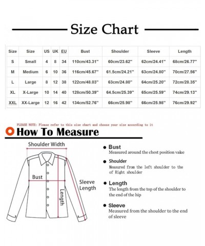 Button Collar Hoodies For Women Solid Color Cute Sweatshirts Long Sleeve Pullover Tops Trendy Fall Fashion 2023 J028-wine $11...