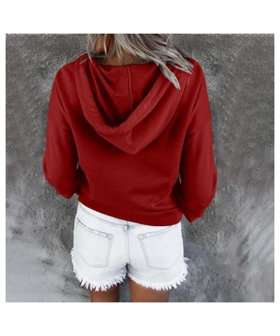 Button Collar Hoodies For Women Solid Color Cute Sweatshirts Long Sleeve Pullover Tops Trendy Fall Fashion 2023 J028-wine $11...