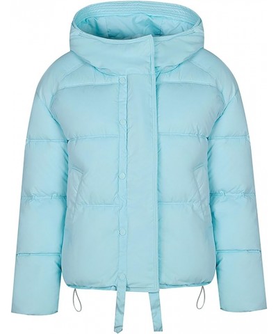 Women's Thickened Down Jacket Oversized Zipper Padded Puffer Coat trendy Lightweight Warm Hooded Winter Outerwear D-light Blu...